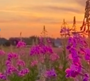 The Invideo interface makes short work of video production